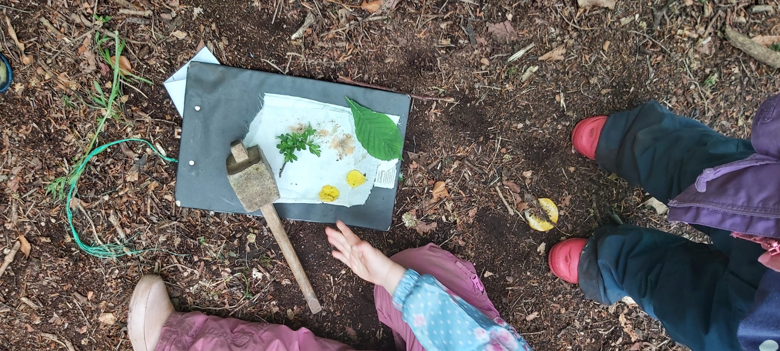 20230525 120912 Scaled