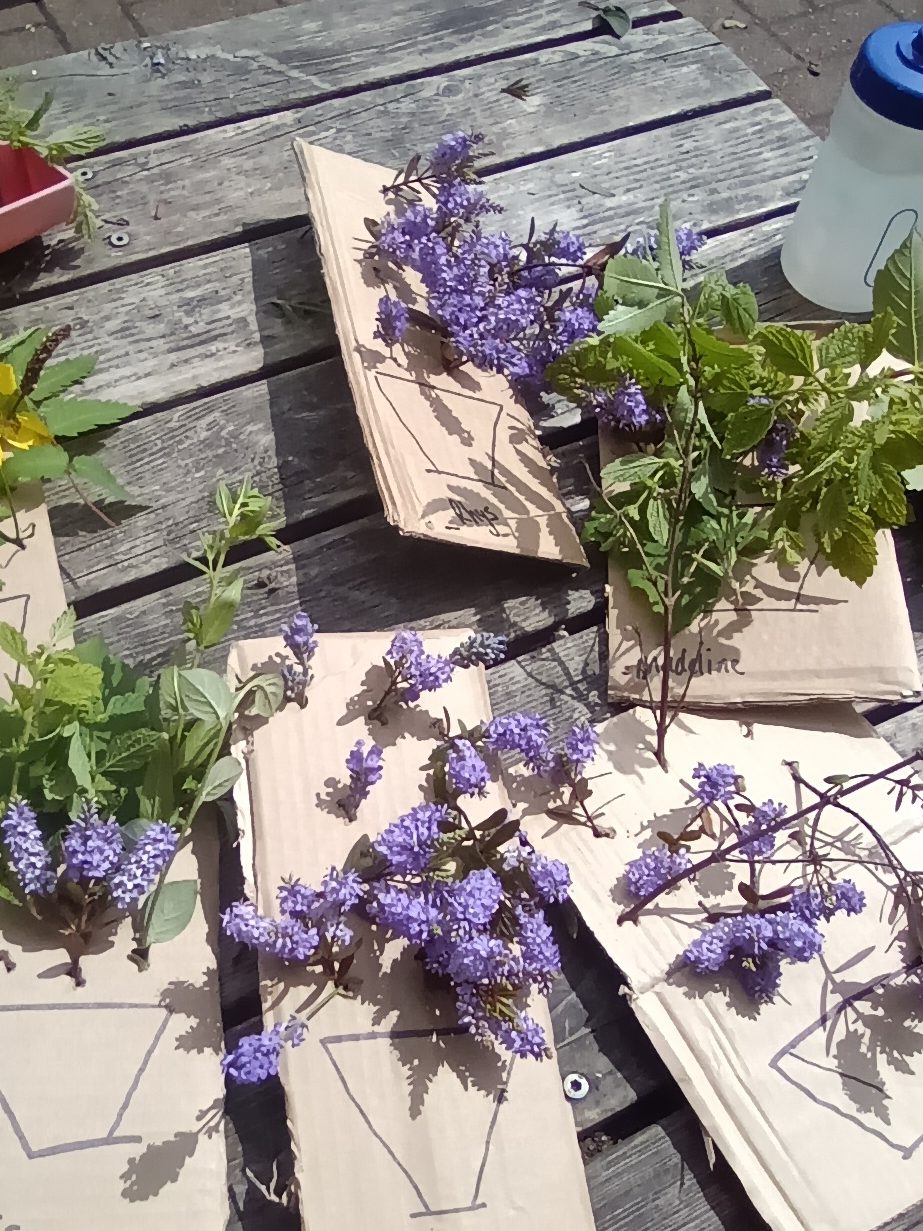 IMG 20240708 114603 1 Edited